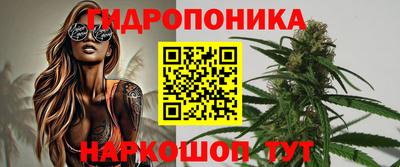 jwh Свободный
