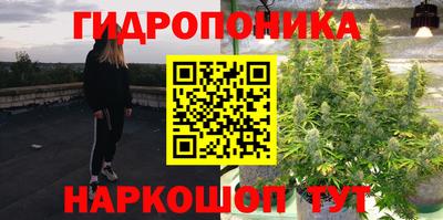 jwh Свободный